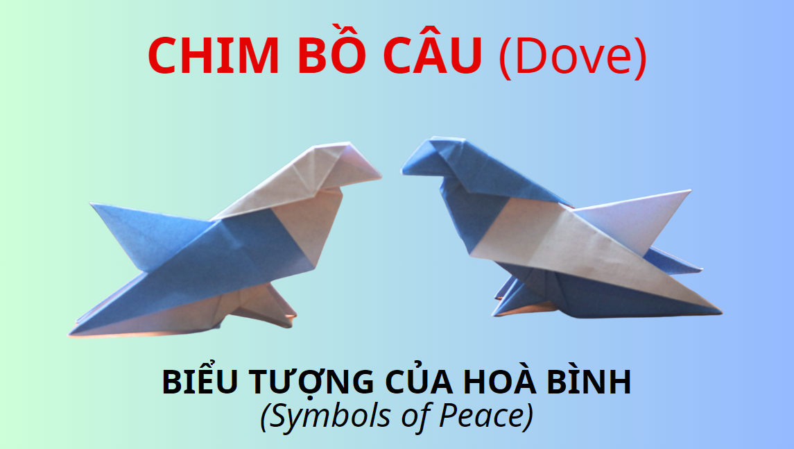 Video 21: Hướng dẫn Mẫu gấp Con chim bồ câu - The art of paper folding: Dove